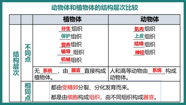 第一单元第三章从细胞到生物体（复习课件）-七年级生物上册同步教学精制课件（人教版2024）(共44张