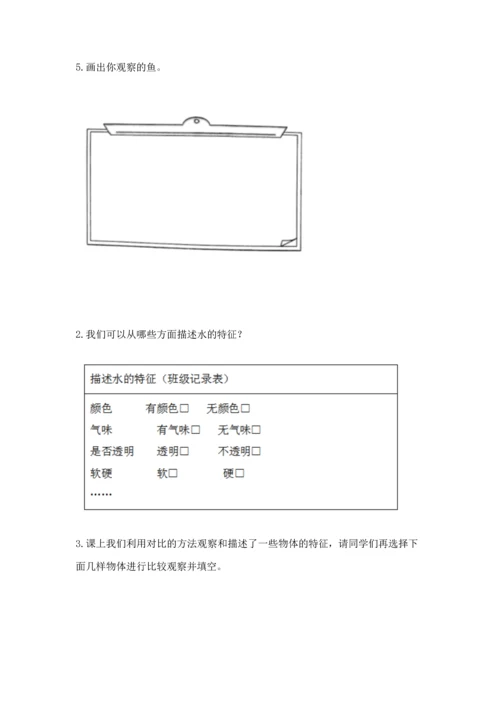 教科版一年级下册科学期末测试卷附参考答案（培优b卷）.docx