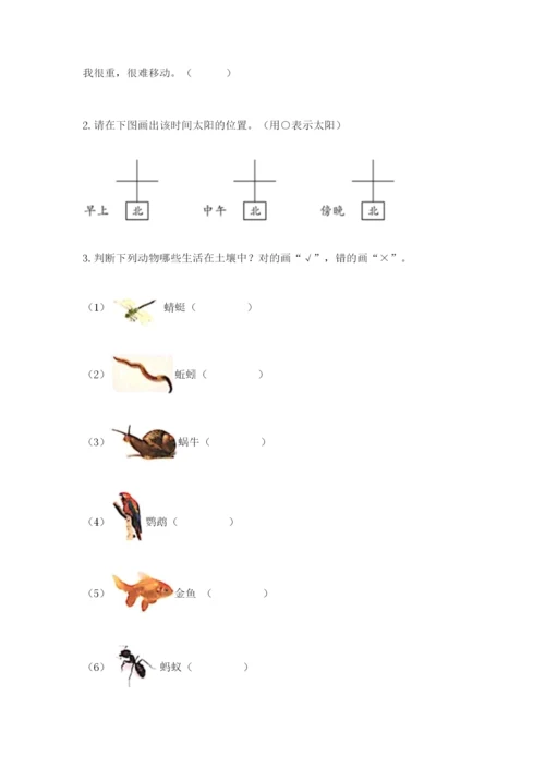教科版二年级上册科学期末考试试卷含答案（夺分金卷）.docx
