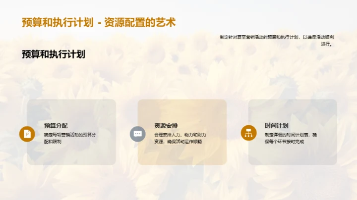 夏至营销战略解析