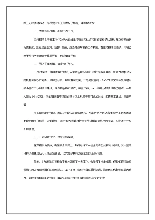 商务局粮食安全集中整治总结第1篇