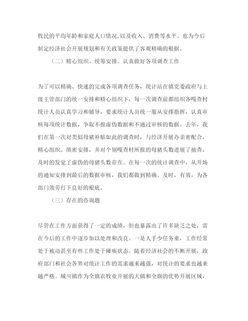 精编镇年统计工作总结暨年工作参考计划范文.docx