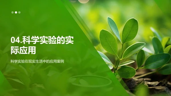 科学观察：植物生长之旅