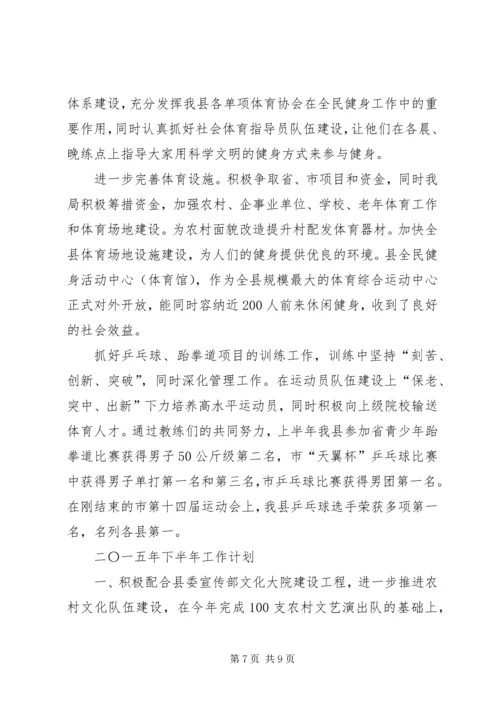 乡镇文体广新局年度重点工作总结.docx