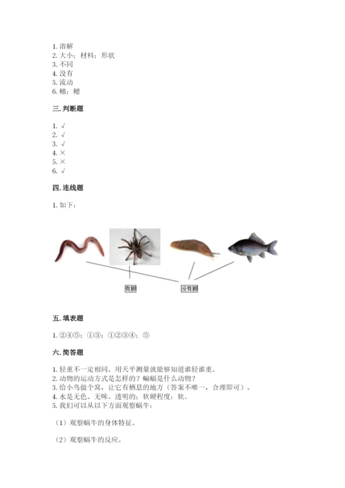 教科版一年级下册科学期末测试卷精品带答案.docx