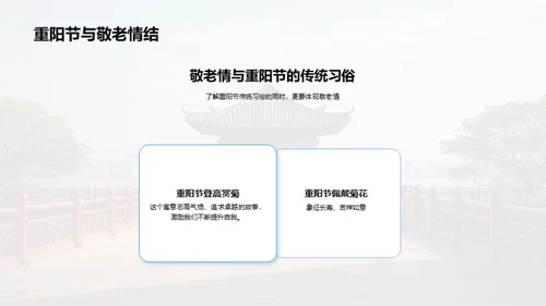 尊老爱老的社会实践