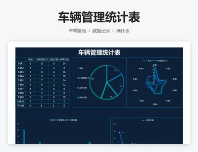 车辆管理统计表