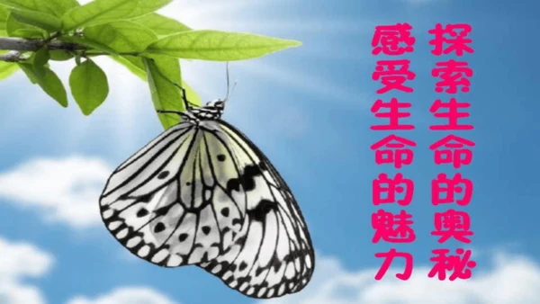 开学第一课+致同学们-【大单元教学】2023-2024学年七年级生物上册同步备课系列（人教版）(共2