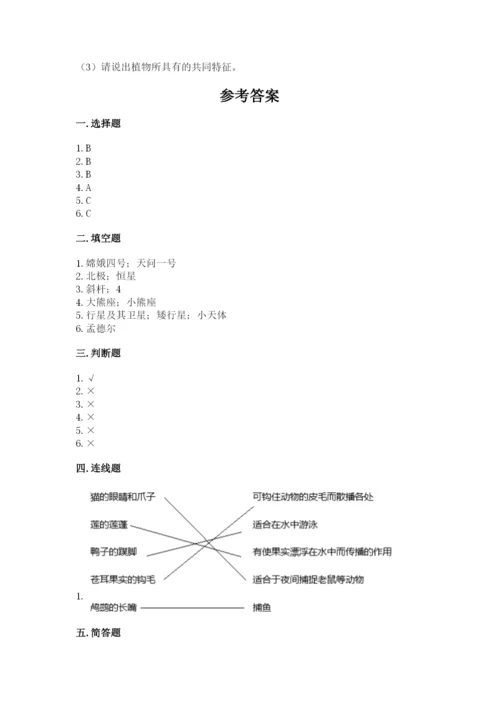 教科版六年级下册科学期末测试卷带答案（新）.docx