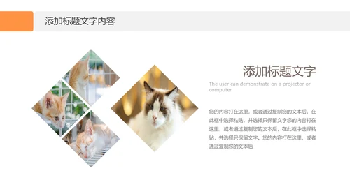 简约风宠物店商业计划书爱宠猫咪PPT模板