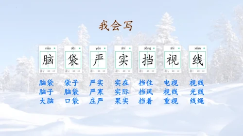 第20课《美丽的小兴安岭》课件