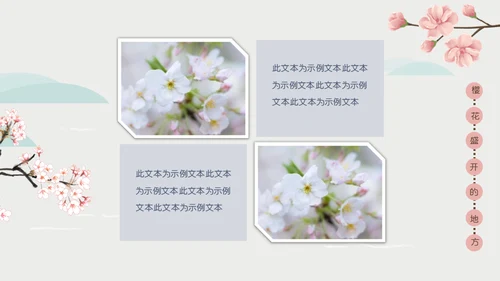 岛国之旅浪漫樱花季通用PPT模板
