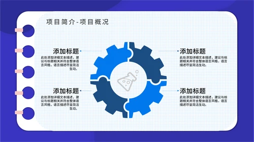 PACA项目实施报告通用PPT模板