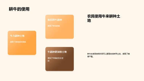 中世纪农业巨变