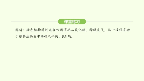 第三单元-第二章-第四节-植物在自然界中的作用课件-2024-2025学年七年级生物下学期人教版(2
