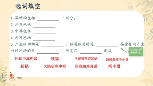 初中生物学人教版（新课程标准）七年级下册4.6.1人体对外界环境的感知课件(共33张PPT)