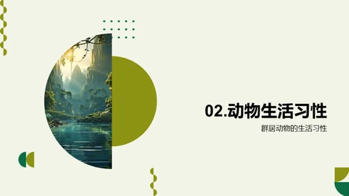 探秘动物世界
