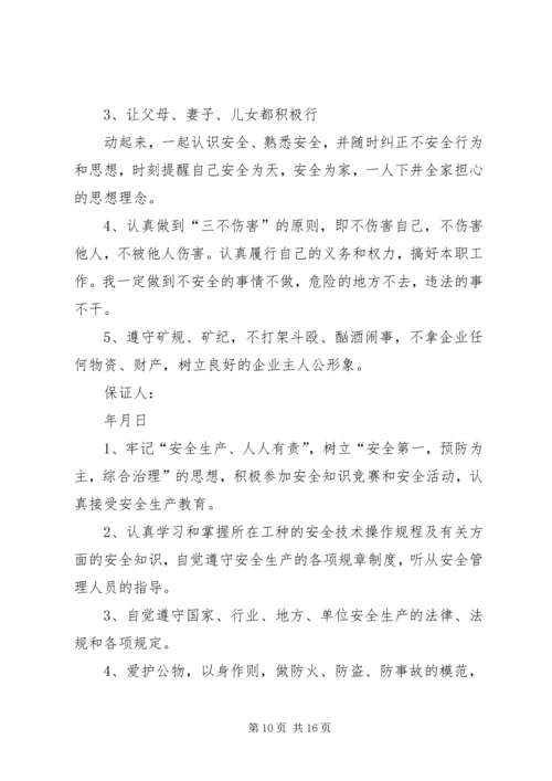 公司安全保证书5篇范文.docx