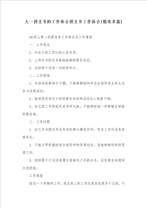 大一团支书的工作体会团支书工作体会精选多篇