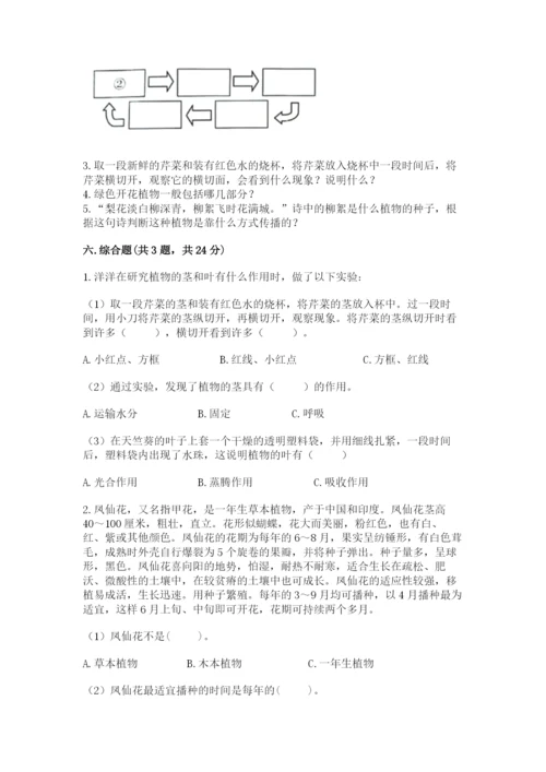 科学四年级下册第一单元《植物的生长变化》测试卷精品（易错题）.docx