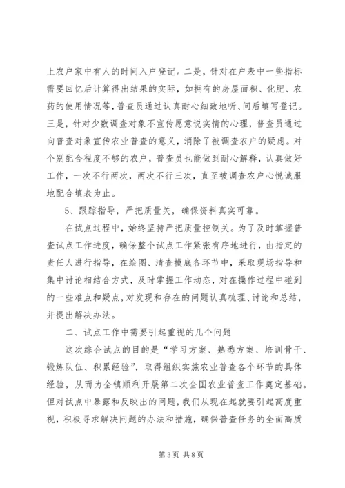 乡镇第二次农业普查综合试点的工作总结.docx