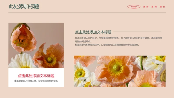 彩色花卉小清新通用PPT演示模板