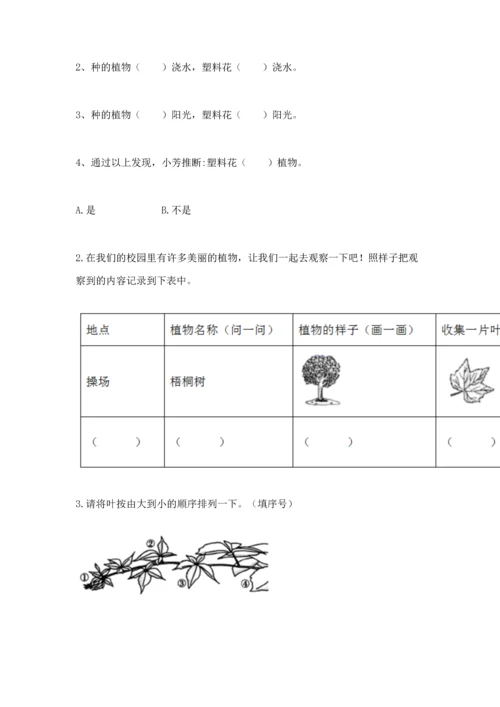 教科版科学一年级上册期末测试卷附完整答案（历年真题）.docx