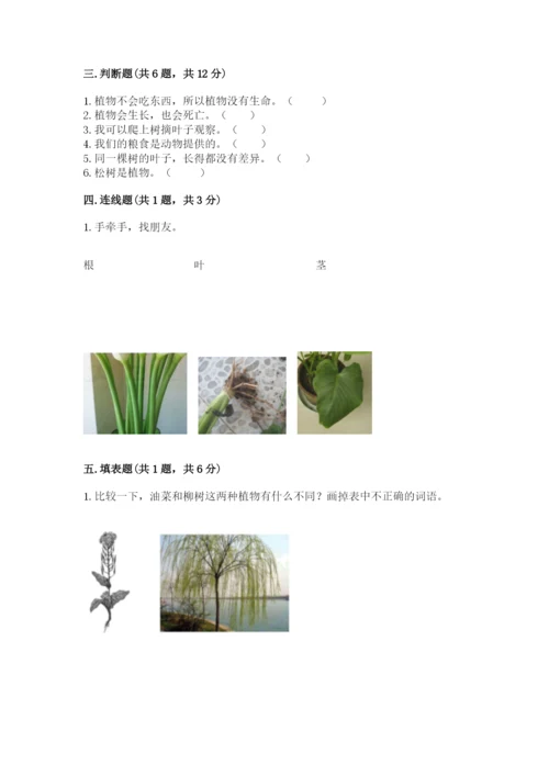 教科版科学一年级上册第一单元《植物》测试卷及1套参考答案.docx