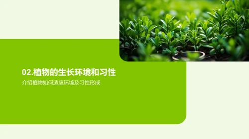 探索植物的奥秘