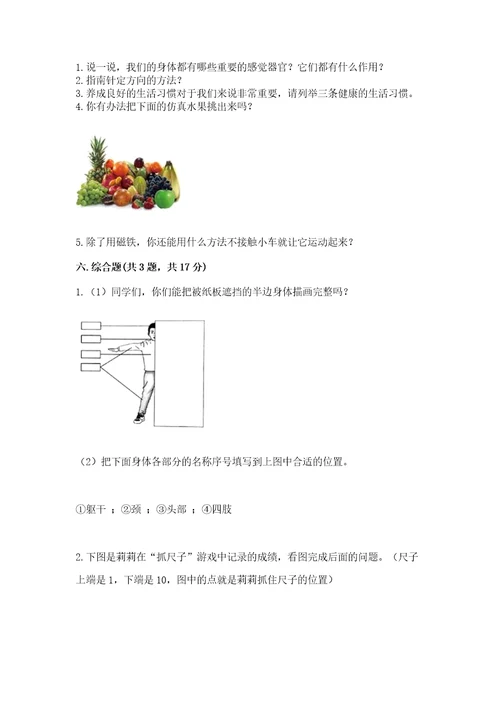 教科版二年级下册科学期末测试卷及答案最新