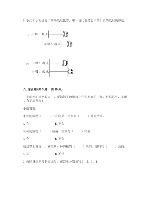 教科版一年级上册科学期末测试卷【夺冠系列】.docx