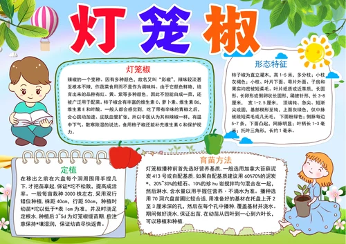 灯笼椒成长日记小报植物生长手抄报电子小报