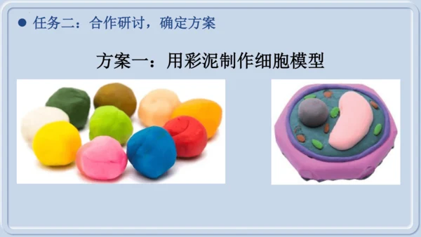 综合实践项目1制作细胞模型（课件）（人教版2024）-【跨学科实践】七年级生物上册跨学科实践备课包（
