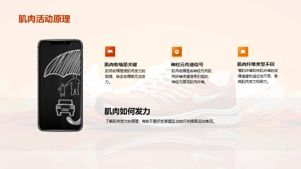 运动生理学全解析