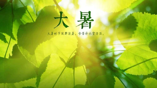 大暑吃西瓜快闪动画通用PPT模板