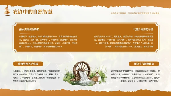 橙色小满节气农谚里的智慧传承PPT模板