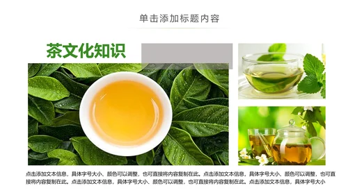 茶具茶叶绿茶白茶红茶黑茶茶文化茶厂PPT
