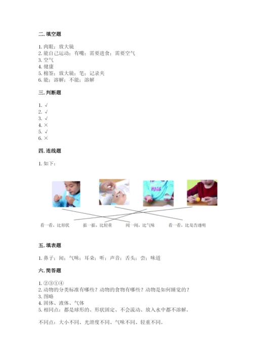 教科版一年级下册科学期末测试卷及完整答案【历年真题】.docx