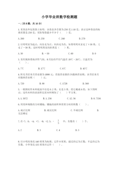 小学毕业班数学检测题一套.docx