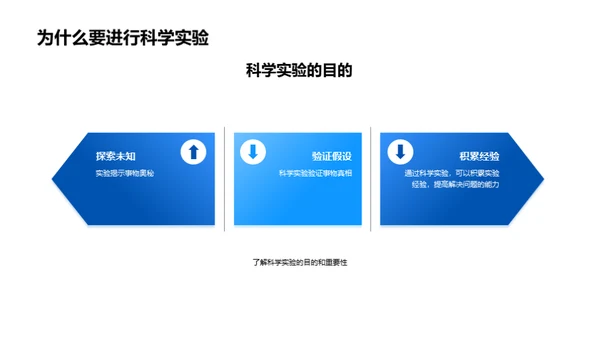 探索科学实验的奥秘