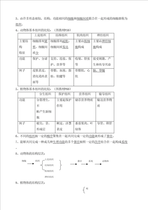 北师大版生物毕业会考总复习知识点