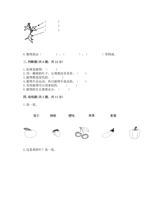 教科版科学一年级上册第一单元《植物》测试卷附答案【达标题】.docx