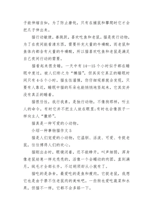 介绍一种事物猫五年级作文5篇.docx