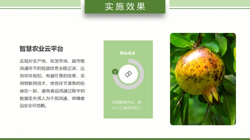 智慧农业耕地粮田通用PPT模板