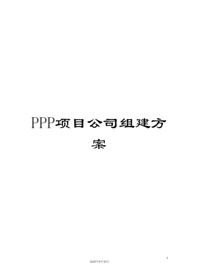 PPP项目公司组建方案.docx