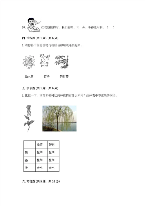 教科版一年级上册科学期末测试卷及完整答案1套