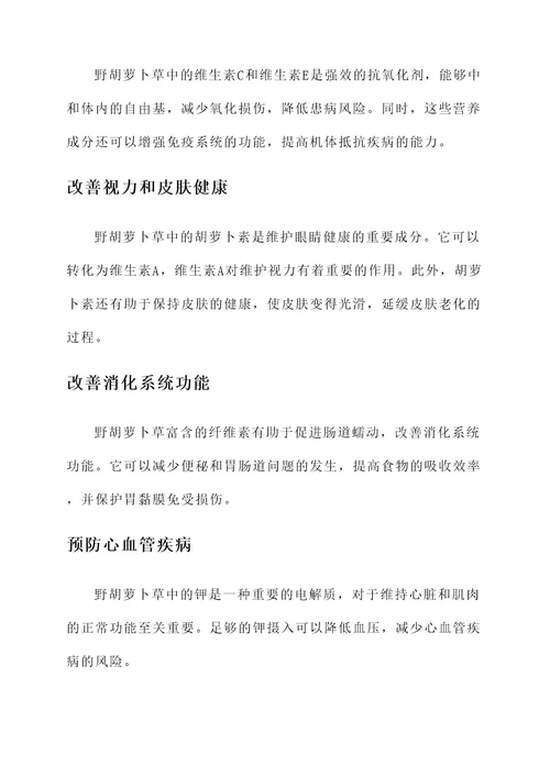 野胡萝卜草的功效和作用