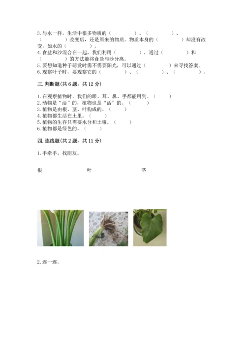 教科版科学一年级上册第一单元《植物》测试卷（全优）word版.docx