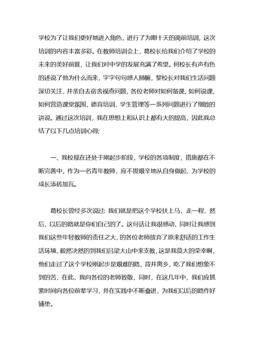 青年教师个人工作总结