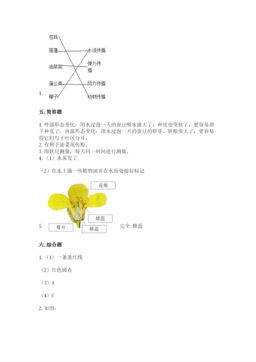 科学四年级下册第一单元《植物的生长变化》测试卷带答案.docx